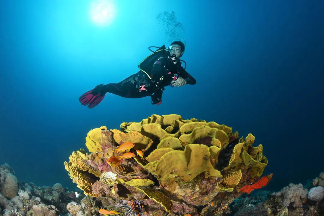Advanced Open Water Diver — Ausbildung an der Tauchbasis Goitzsche
